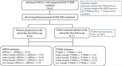 Dynamic cfDNA Analysis by NGS in EGFR T790M-Positive Advanced NSCLC Patients Failed to the First-Generation EGFR-TKIs
